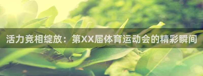 MK体育官网下载:活力竞相绽放:第XX届体育运动会的精彩瞬间