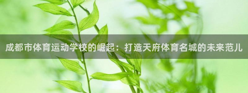 MK体育官网下载注册:成都市体育运动学校的崛起:打造天府体育