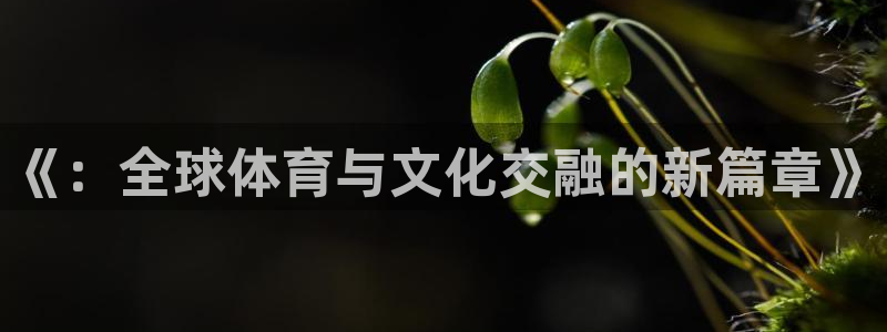 MK体育官网下载招商电话号码是多少:《:全球体育与文化交融的